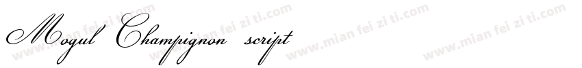 Mogul Champignon script字体转换